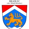 Obec Bradlec - heraldické návrhy znaku a vlajky.jpg